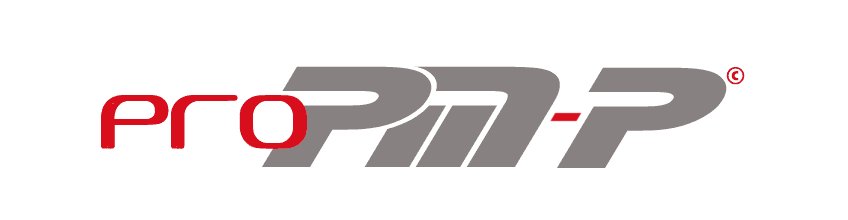Project Management Professional PMI certification course